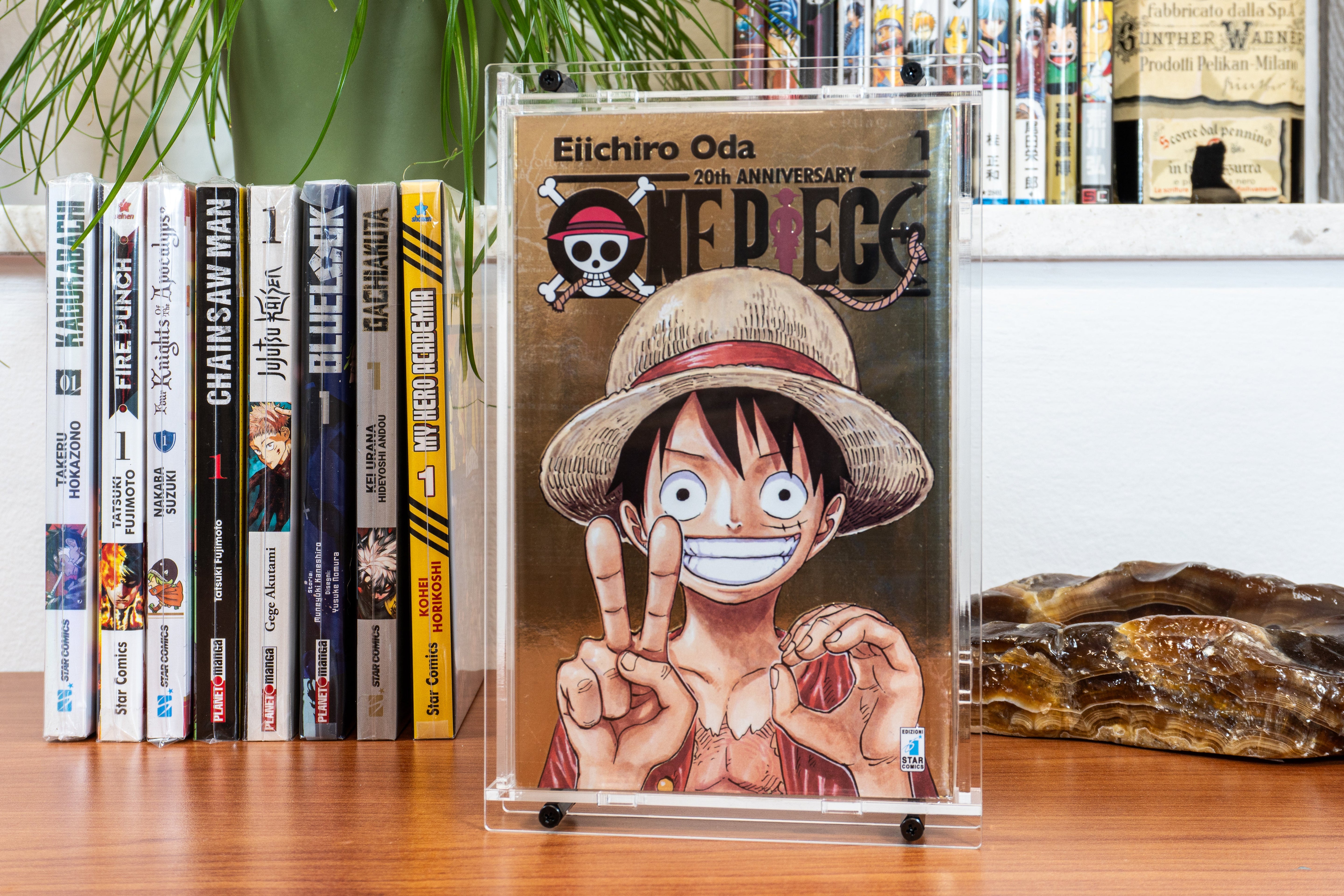 Protezione e Esposizione